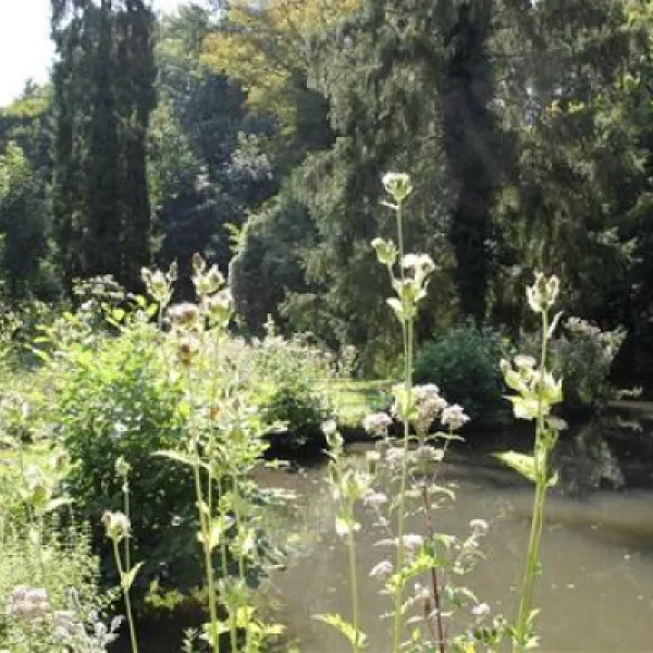 camping-ile-de-boulancourt-boulancourt-twiev