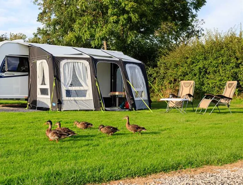 campsite-naburn-locks-york-w2wqm