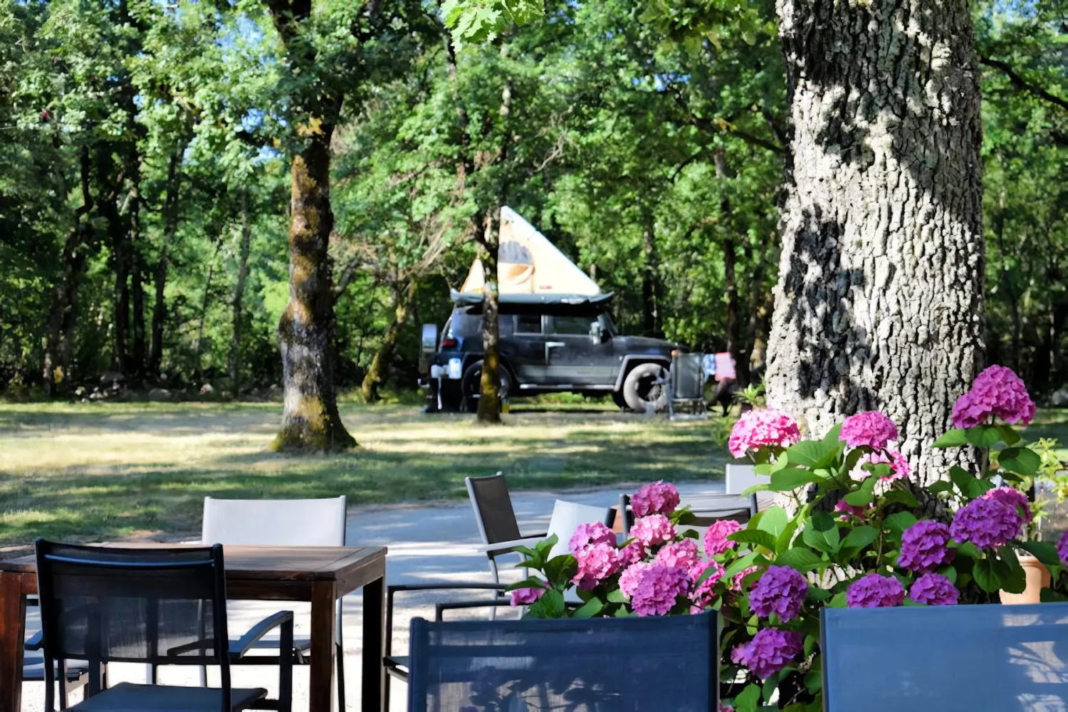 camping-de-boisredon--septfonds-fhvef