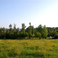 naturcampingplatz-alt-reddevitz-middelhagenrgen-aio1o