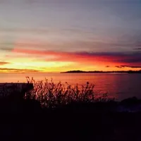 naturcampingplatz-alt-reddevitz-middelhagenrgen-ao9pm