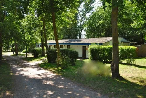 naturcampingplatz-alt-reddevitz-middelhagenrgen-k5xum