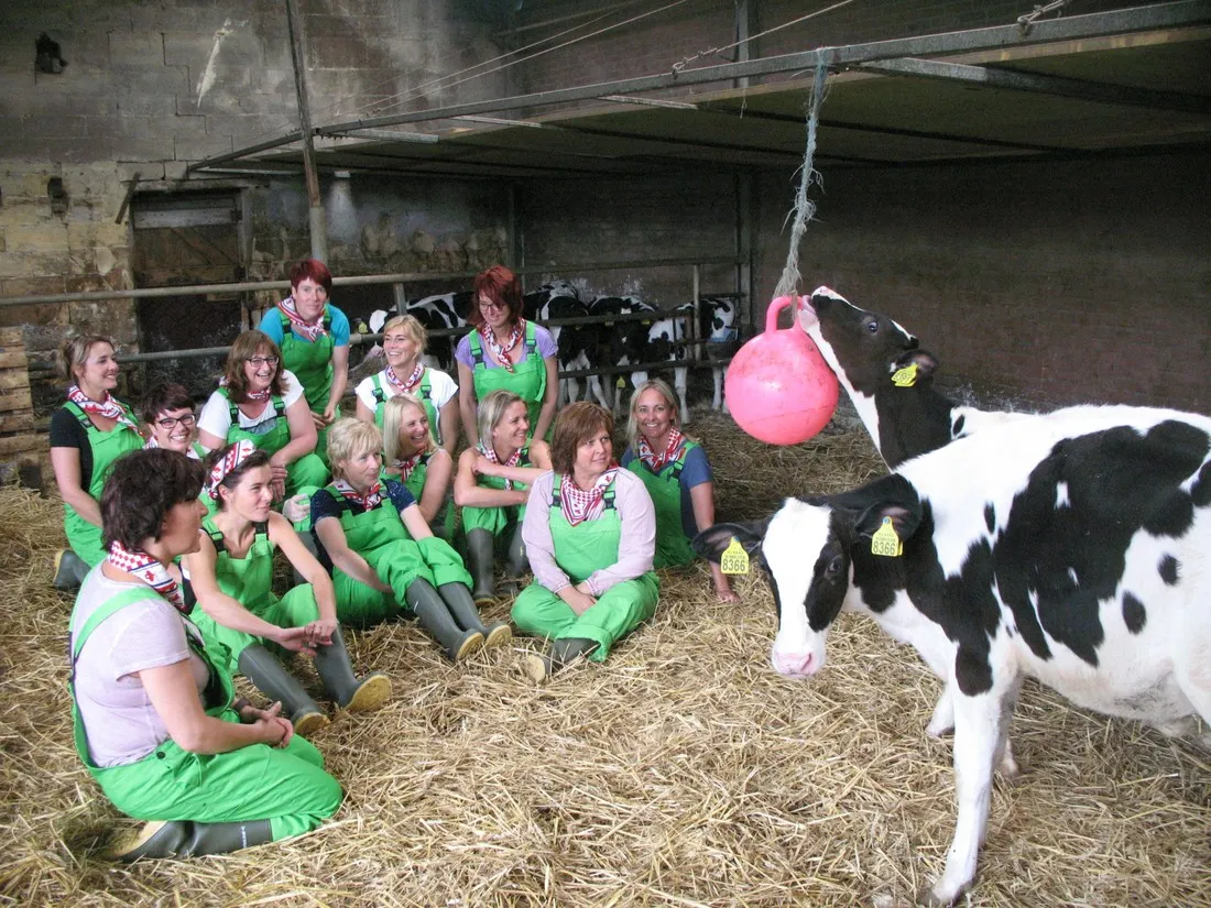 waalheimer-farm-camping-walem-mjcrz