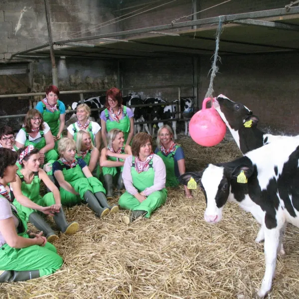 waalheimer-farm-camping-walem-mjcrz