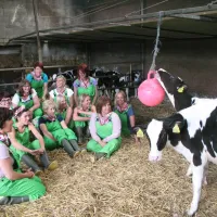 waalheimer-farm-camping-walem-mjcrz