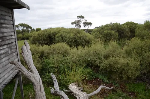 bool-lagoon-campground-bool-lagoon-tqptm