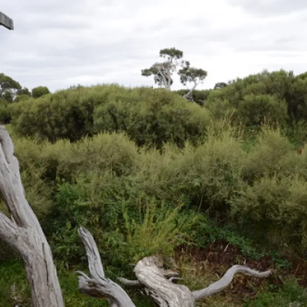 bool-lagoon-campground-bool-lagoon-tqptm