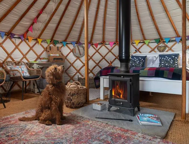 hadrians-wall-country-yurts-brampton-yw6gk