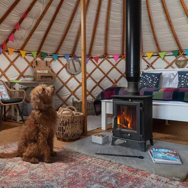 hadrians-wall-country-yurts-brampton-yw6gk
