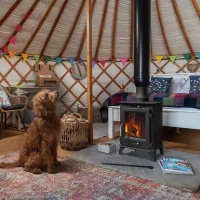 hadrians-wall-country-yurts-brampton-yw6gk