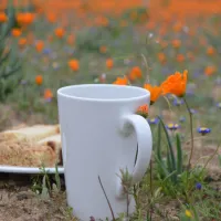 namaqua-flower-beach-camp-kamieskroon-4vmr3