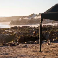namaqua-flower-beach-camp-kamieskroon-77ybw