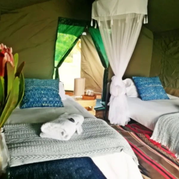 namaqua-flower-beach-camp-kamieskroon-enxye