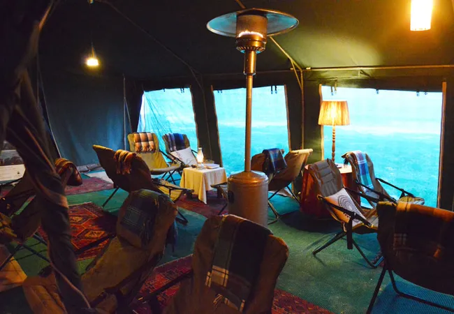 namaqua-flower-beach-camp-kamieskroon-fbbvv