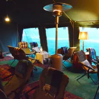 namaqua-flower-beach-camp-kamieskroon-fbbvv
