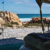 namaqua-flower-beach-camp-kamieskroon-fwj58