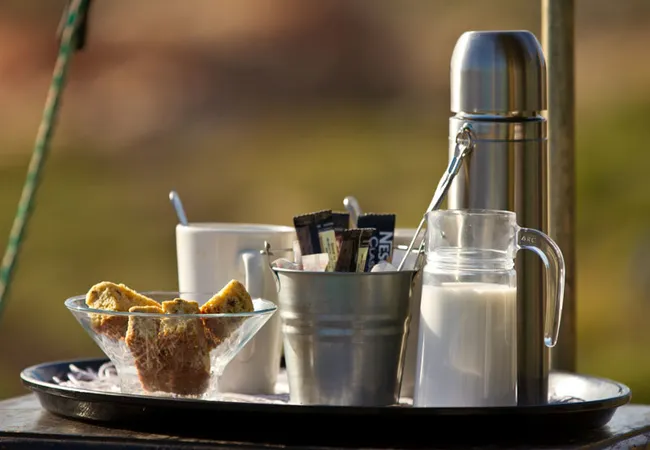 namaqua-flower-beach-camp-kamieskroon-jrzgh
