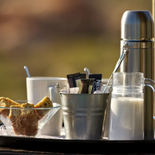 namaqua-flower-beach-camp-kamieskroon-jrzgh