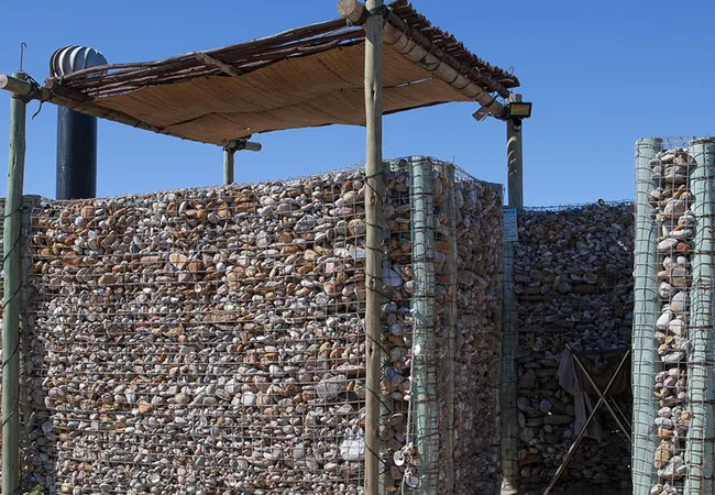 namaqua-flower-beach-camp-kamieskroon-krkrf