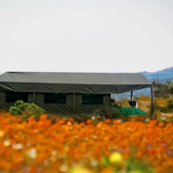 namaqua-flower-beach-camp-kamieskroon-ksewb
