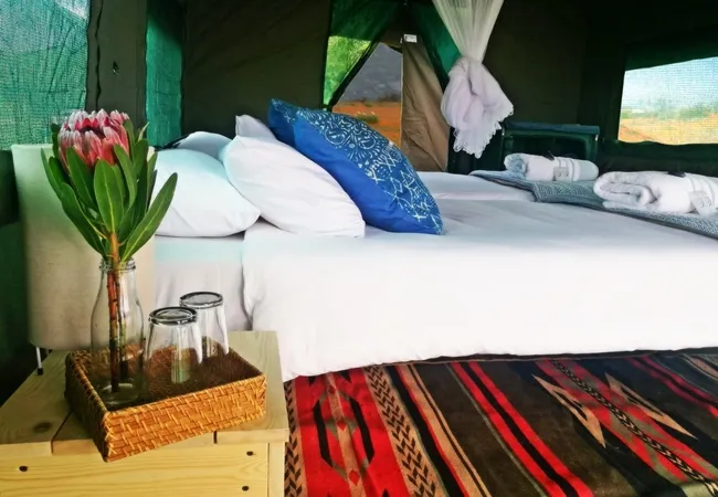 namaqua-flower-beach-camp-kamieskroon-n4lgg