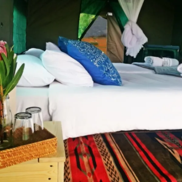 namaqua-flower-beach-camp-kamieskroon-n4lgg
