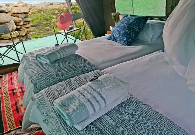 namaqua-flower-beach-camp-kamieskroon-p7fhf