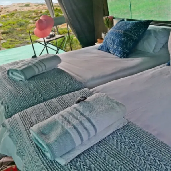 namaqua-flower-beach-camp-kamieskroon-p7fhf