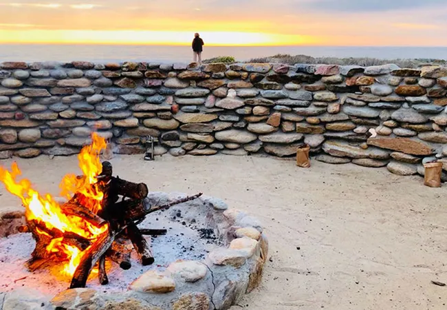 namaqua-flower-beach-camp-kamieskroon-p8kyf