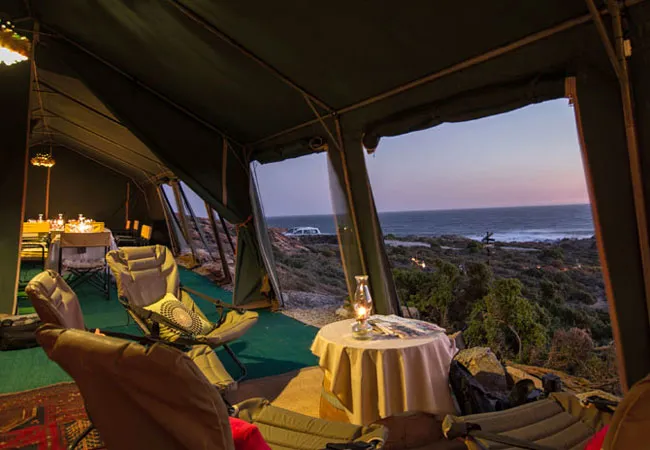 namaqua-flower-beach-camp-kamieskroon-ubmew