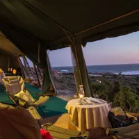 namaqua-flower-beach-camp-kamieskroon-ubmew