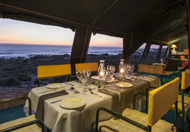 namaqua-flower-beach-camp-kamieskroon-v7qxd