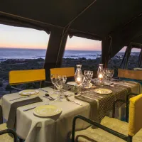 namaqua-flower-beach-camp-kamieskroon-v7qxd