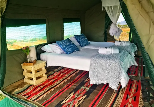 namaqua-flower-beach-camp-kamieskroon-vgiqw