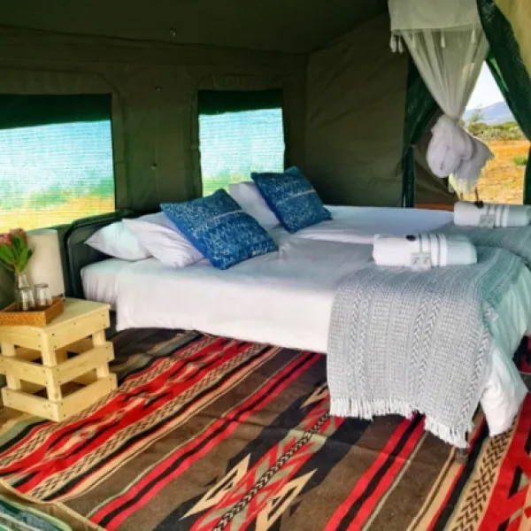 namaqua-flower-beach-camp-kamieskroon-vgiqw