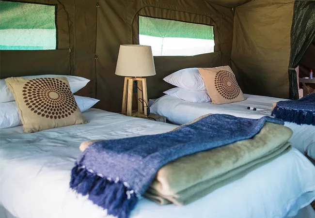 namaqua-flower-beach-camp-kamieskroon-zsogk