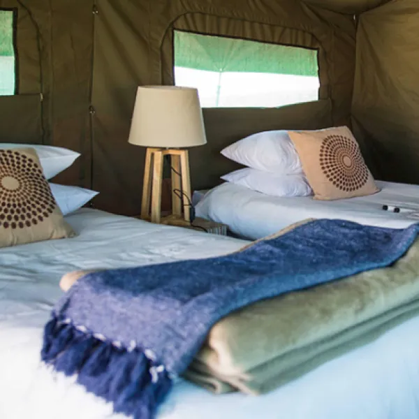 namaqua-flower-beach-camp-kamieskroon-zsogk