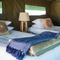 namaqua-flower-beach-camp-kamieskroon-zsogk