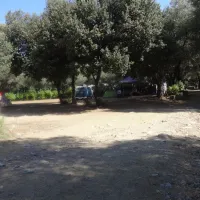 Alivetu