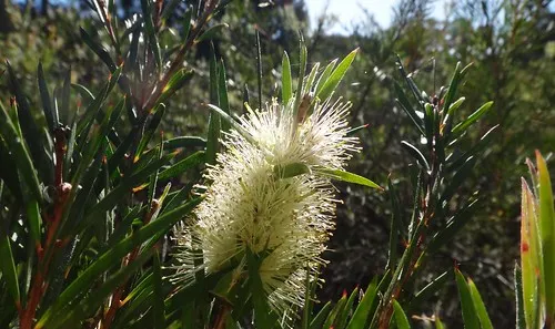 terarra-creek-campground-eugowra-he1rg