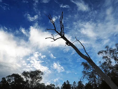 terarra-creek-campground-eugowra-hly7i