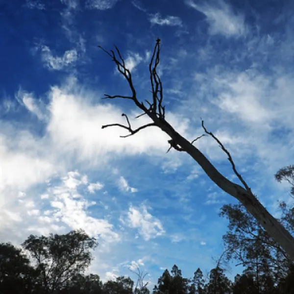 terarra-creek-campground-eugowra-hly7i