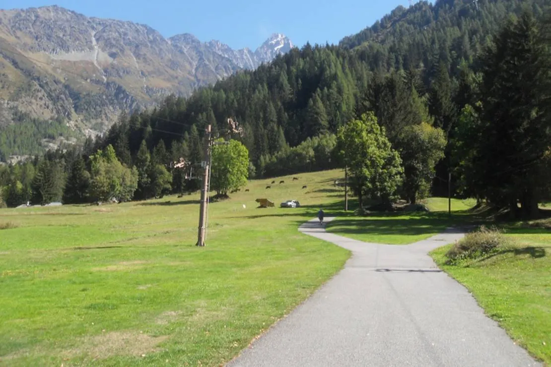 camping-le-glacier-dargentieres-chamonix-mont-blanc-zjjlm