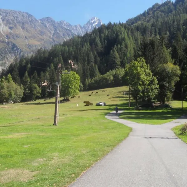camping-le-glacier-dargentieres-chamonix-mont-blanc-zjjlm
