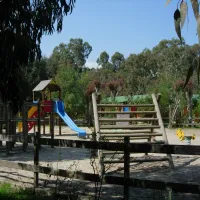 la-pinede-calvi-0rmp8