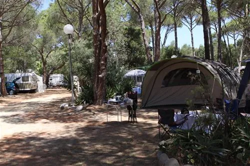 la-pinede-calvi-3uqft
