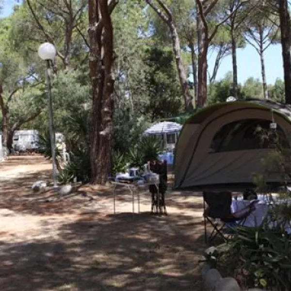 la-pinede-calvi-3uqft