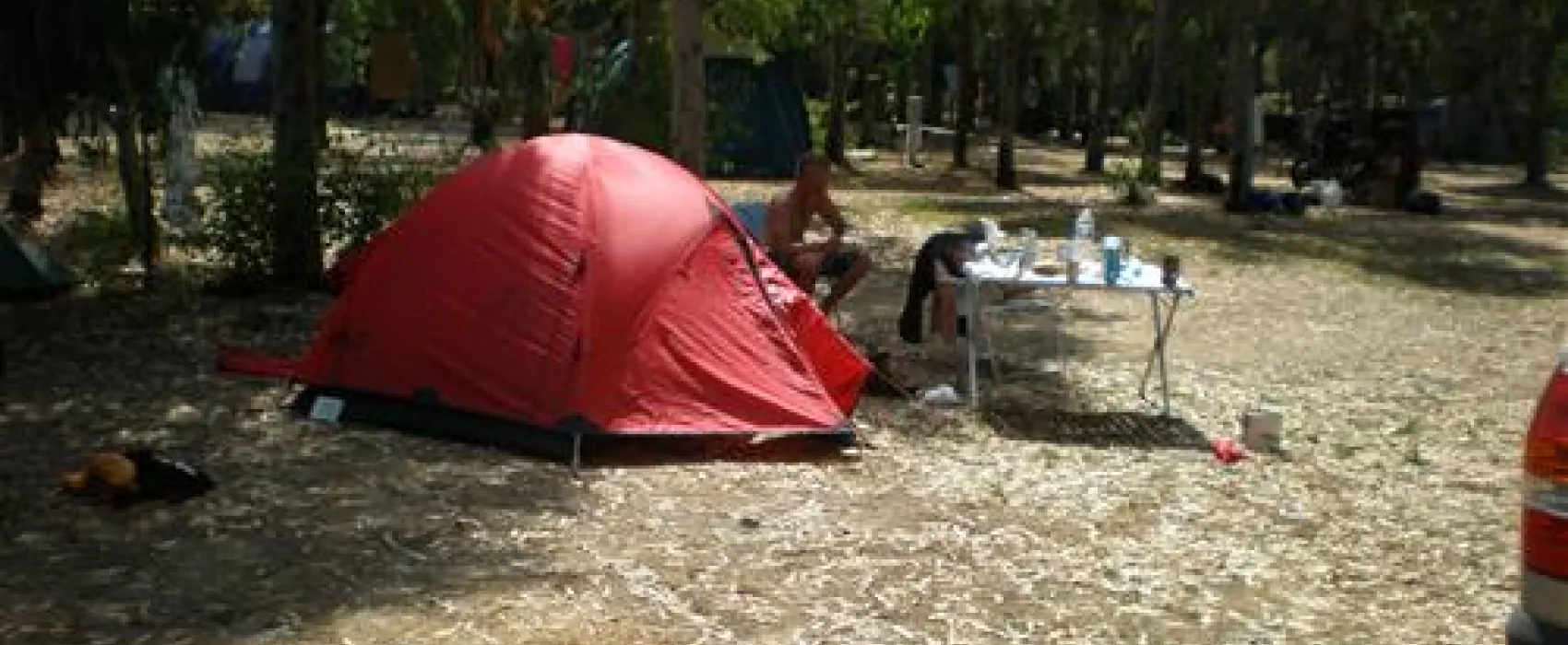 La Pinède