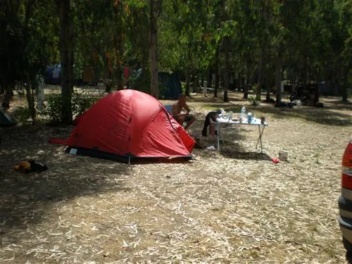 la-pinede-calvi-5o2rn