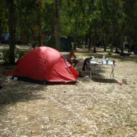 la-pinede-calvi-5o2rn